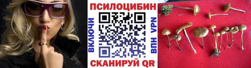 Псилоцибиновые грибы мицелий  Павловская 